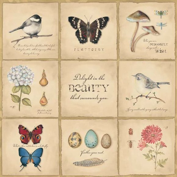 Beauty 9 Patch by Stephanie Marrott Framed Art work 15.5" x 15.5" - Picture 1 of 5